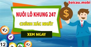 Nuôi lô khung 247 miễn phí chính xác nhất